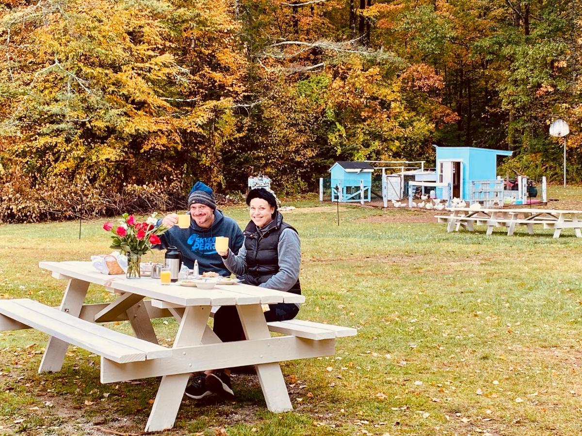Arcady Mountain Motor Lodge Sunderland Bagian luar foto