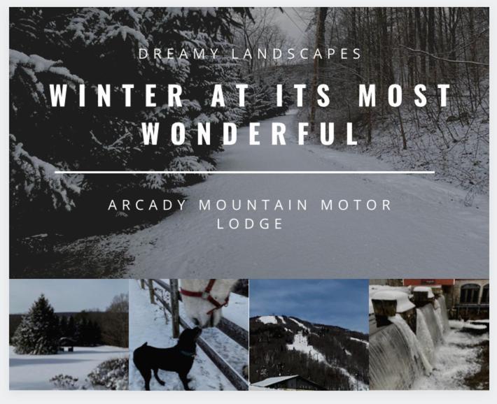 Arcady Mountain Motor Lodge Sunderland Bagian luar foto